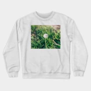 Dandelion Flower Crewneck Sweatshirt